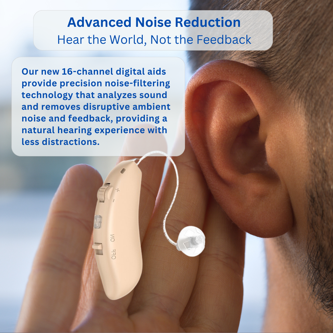 Rechargeable Hearing Aids (RIC) with Wireless Charging Case (Blue)